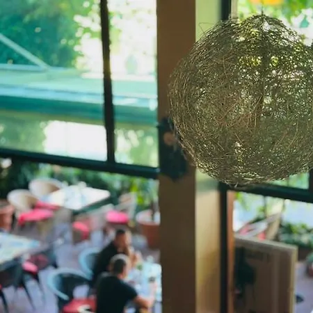 Berito Момчилград