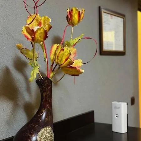 Berito * Момчилград