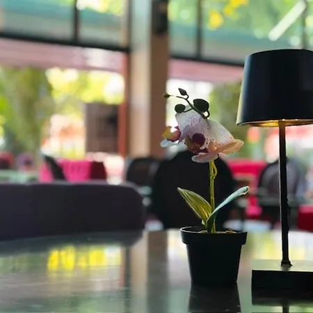 Berito Момчилград